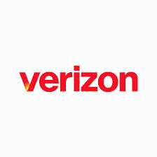 Verizon Business Services