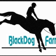 Black Dog Farm