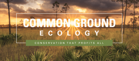 Common Ground Ecology