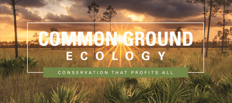 Common Ground Ecology