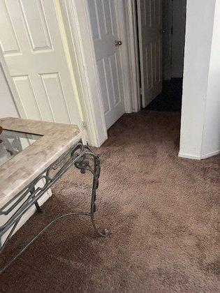 G.R.N Carpet & Upholstery Cleaning Experts