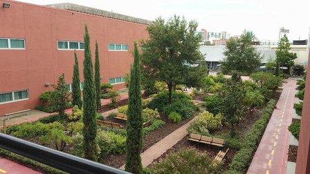 Rampello Downtown Partnership K-8 Magnet School