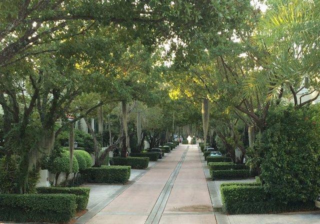 GV GreenView Landscape Llc