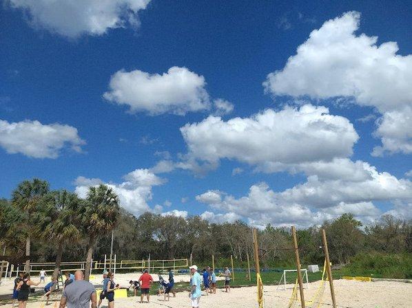 SAND LIFE FARM VOLLEYBALL