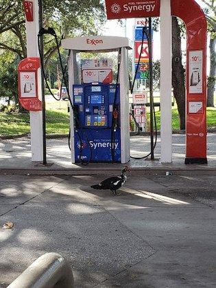 Circle K | Gas Station