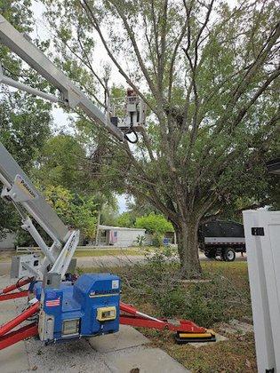 Parmelee Tree Care