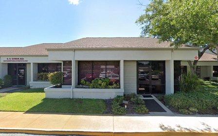 Gastro Florida - Clearwater Belcher