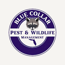 Blue Collar Pest and Wildlife Management LLC