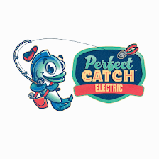 Perfect Catch Electric