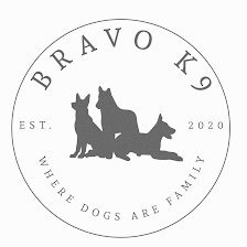 Bravo K9 Tampa