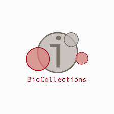 BioCollections Worldwide - Tampa
