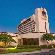 Hilton Tampa Airport Westshore