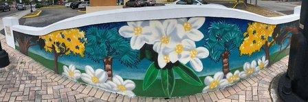 Temple Terrace Arts Council
