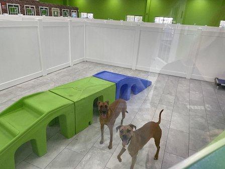 Hounds Town - Westchase