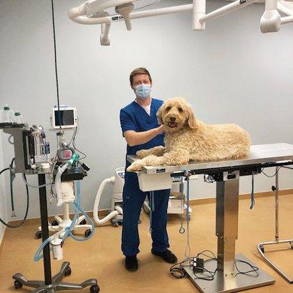 Furry Friends Veterinary Center