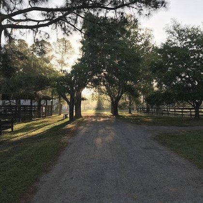 Avalon Stables