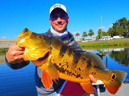 Bass Online Fishing Guides - Sebring