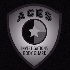 ACES Private Investigations Tampa