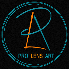 Pro Lens Art