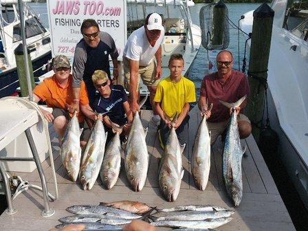 Jawstoo Fishing Charters Indian Rocks Beach
