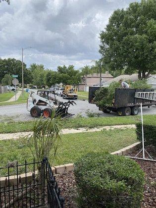 D&D Tree Service, LLC