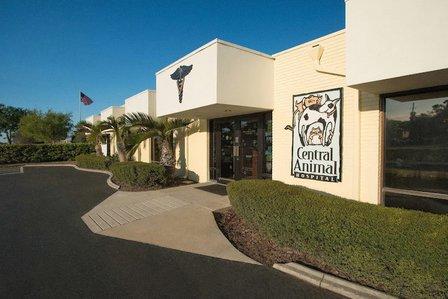Central Animal Hospital