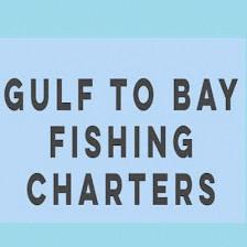 Gulf to Bay Fishing Charters