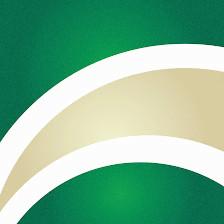 USF Credit Union