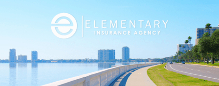 Elementary Insurance Agency