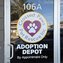 The Adoption Depot