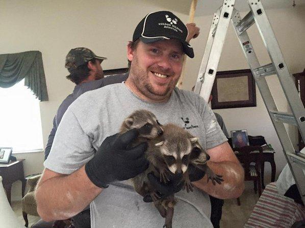 Weldon Wildlife Removal, LLC