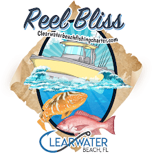 Clearwater Beach Fishing Charter