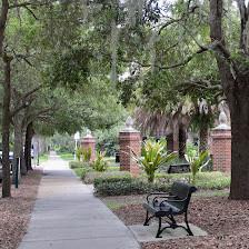South Tampa Psychology