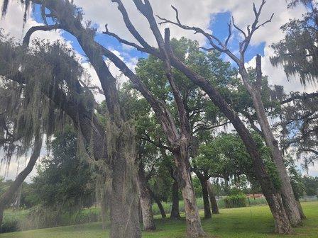Alfred "Al" Barnes Park