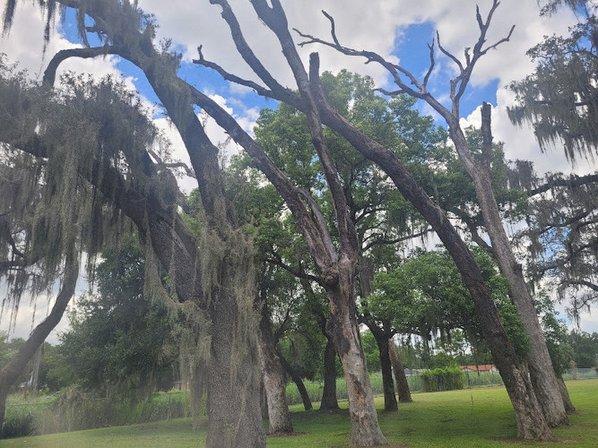 Alfred "Al" Barnes Park