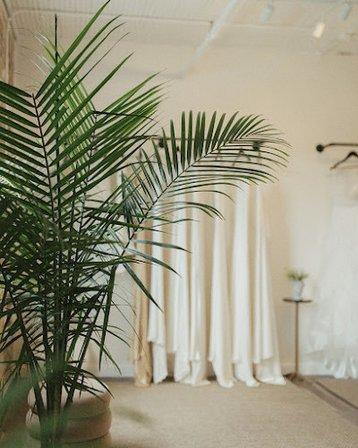 Elliot James Bridal