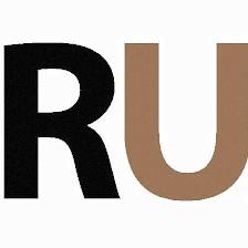 REACHUP, Inc.