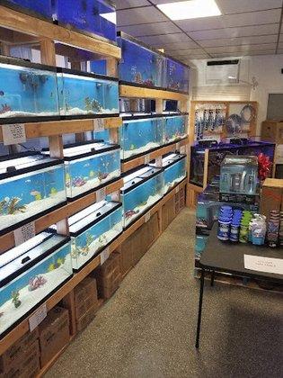 St. Pete Saltwater Aquarium Store