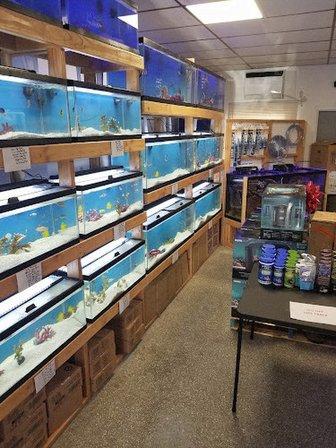 St. Pete Saltwater Aquarium Store