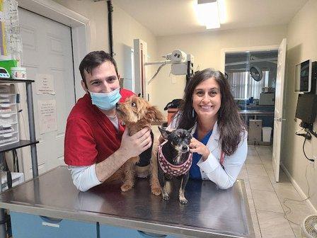 Love Animal Hospital