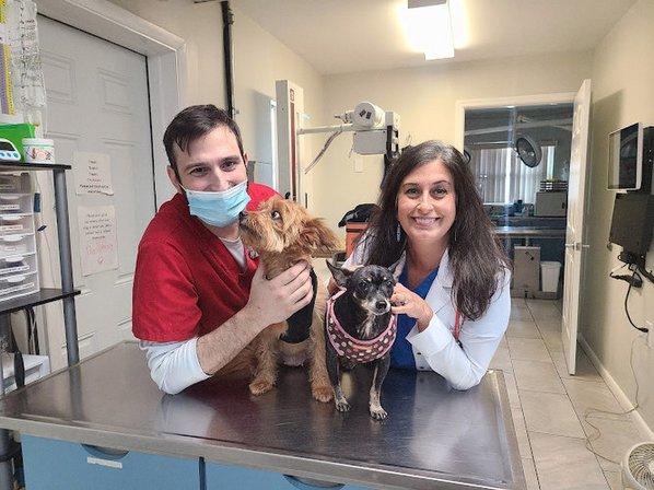 Love Animal Hospital