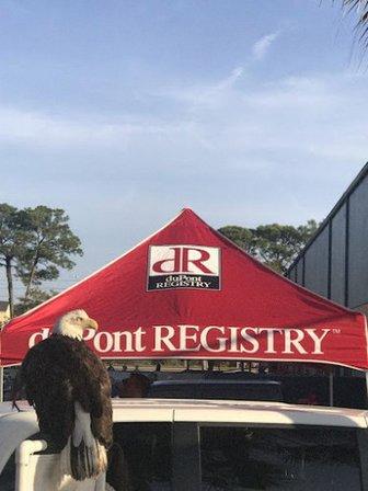 duPont Registry