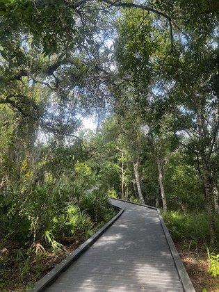 Brooker Creek Buffer Preserve