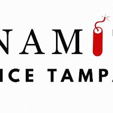 Dynamite Fence Tampa