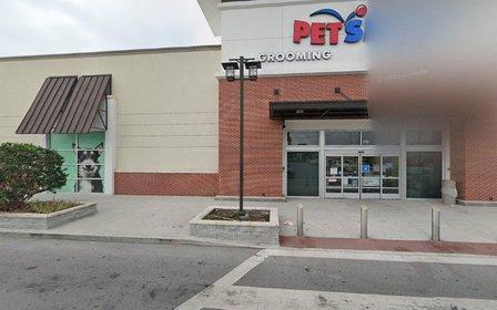 PetSmart Dog Training