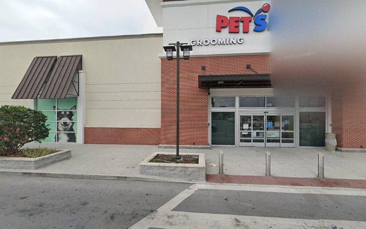 PetSmart Dog Training