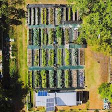 Sustainable Living Project