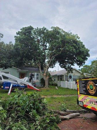 Tree Rescue, LLC