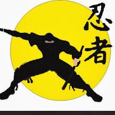 Sushi Ninja Tampa