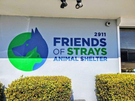 Friends of Strays Animal Shelter